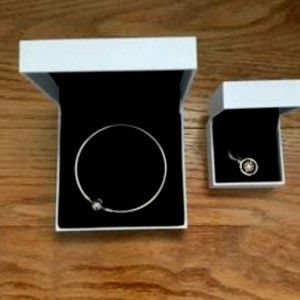 Pandora Bracelet & Charm